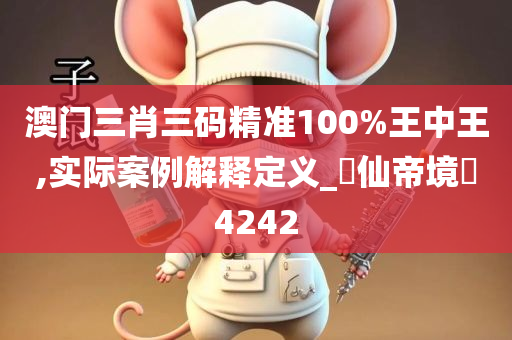 澳门三肖三码精准100%王中王,实际案例解释定义_‌仙帝境‌4242