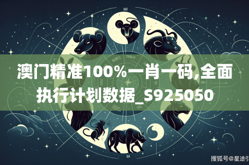 澳门精准100%一肖一码,全面执行计划数据_S925050