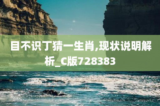 目不识丁猜一生肖,现状说明解析_C版728383