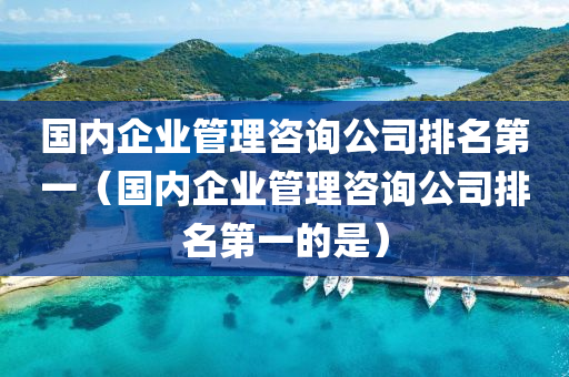 国内企业管理咨询公司排名第一（国内企业管理咨询公司排名第一的是）