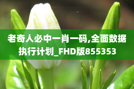 老奇人必中一肖一码,全面数据执行计划_FHD版855353