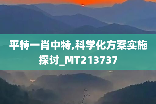 平特一肖中特,科学化方案实施探讨_MT213737