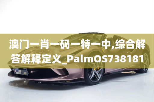 澳门一肖一码一特一中,综合解答解释定义_PalmOS738181