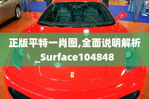 正版平特一肖图,全面说明解析_Surface104848