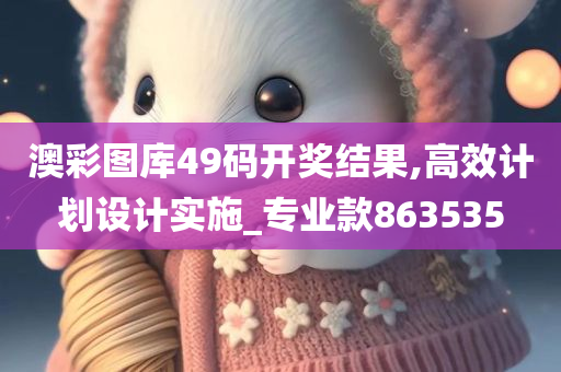 澳彩图库49码开奖结果,高效计划设计实施_专业款863535