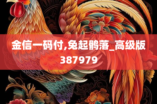 金信一码付,兔起鹘落_高级版387979