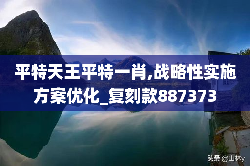 平特天王平特一肖,战略性实施方案优化_复刻款887373