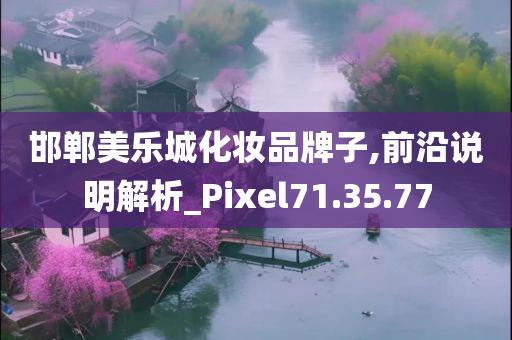 邯郸美乐城化妆品牌子,前沿说明解析_Pixel71.35.77