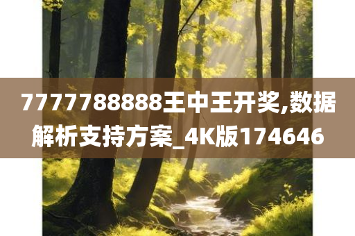 7777788888王中王开奖,数据解析支持方案_4K版174646