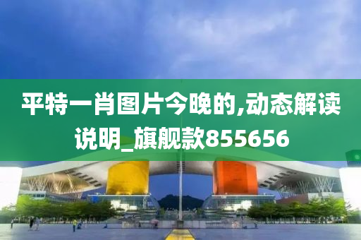 平特一肖图片今晚的,动态解读说明_旗舰款855656