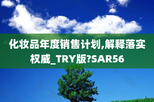 化妆品年度销售计划,解释落实权威_TRY版?SAR56