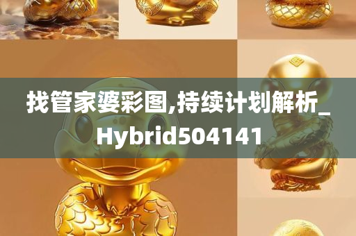 找管家婆彩图,持续计划解析_Hybrid504141