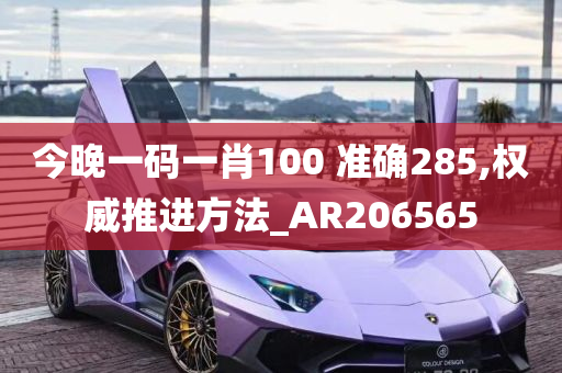 今晚一码一肖100 准确285,权威推进方法_AR206565