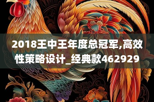 2018王中王年度总冠军,高效性策略设计_经典款462929