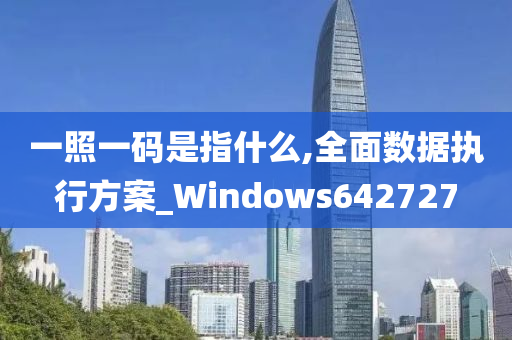 一照一码是指什么,全面数据执行方案_Windows642727