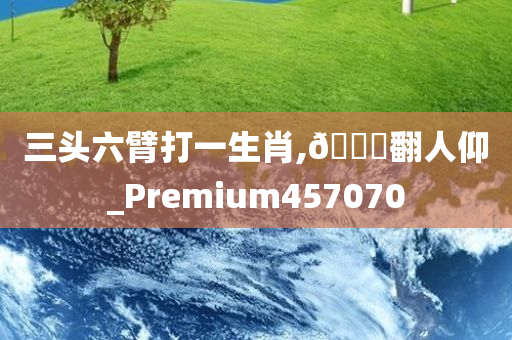 三头六臂打一生肖,🐎翻人仰_Premium457070