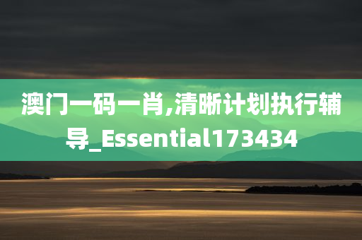 澳门一码一肖,清晰计划执行辅导_Essential173434