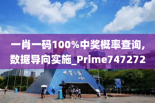 一肖一码100%中奖概率查询,数据导向实施_Prime747272