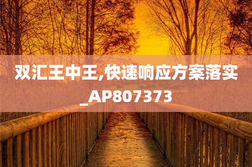 双汇王中王,快速响应方案落实_AP807373