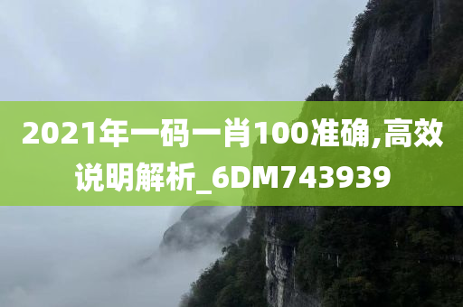 2021年一码一肖100准确,高效说明解析_6DM743939