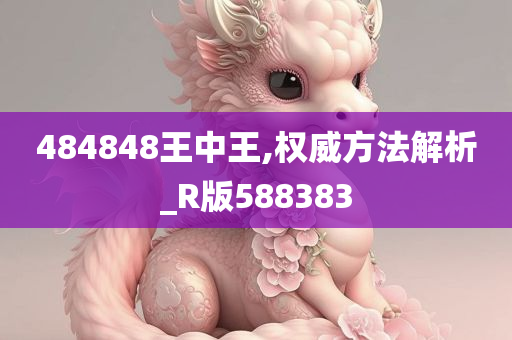 484848王中王,权威方法解析_R版588383