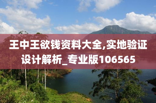 王中王欲钱资料大全,实地验证设计解析_专业版106565