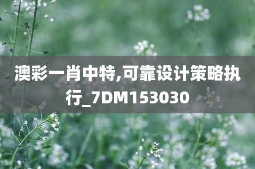 澳彩一肖中特,可靠设计策略执行_7DM153030