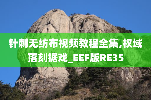 针刺无纺布视频教程全集,权域落刻据戏_EEF版RE35