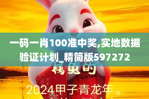 一码一肖100准中奖,实地数据验证计划_精简版597272