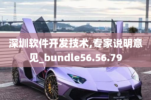 深圳软件开发技术,专家说明意见_bundle56.56.79