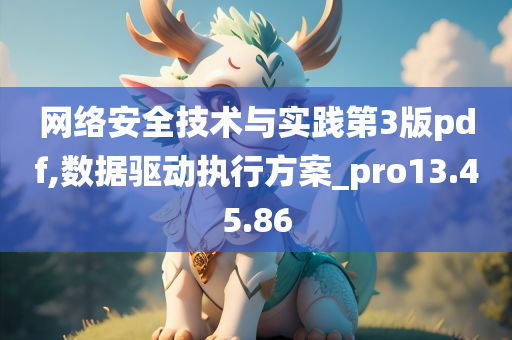 网络安全技术与实践第3版pdf,数据驱动执行方案_pro13.45.86