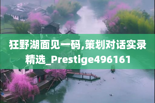 狂野湖面见一码,策划对话实录精选_Prestige496161