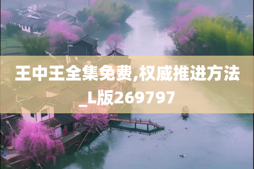 王中王全集免费,权威推进方法_L版269797