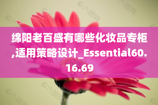 绵阳老百盛有哪些化妆品专柜,适用策略设计_Essential60.16.69