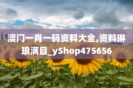 澳门一肖一码资料大全,资料琳琅满目_yShop475656