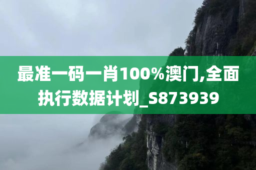 最准一码一肖100%澳门,全面执行数据计划_S873939