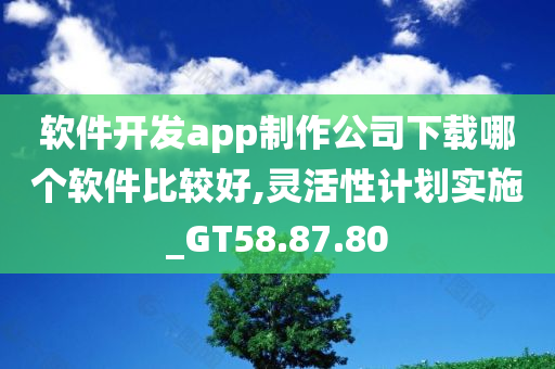 软件开发app制作公司下载哪个软件比较好,灵活性计划实施_GT58.87.80