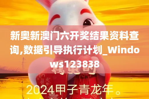 新奥新澳门六开奖结果资料查询,数据引导执行计划_Windows123838