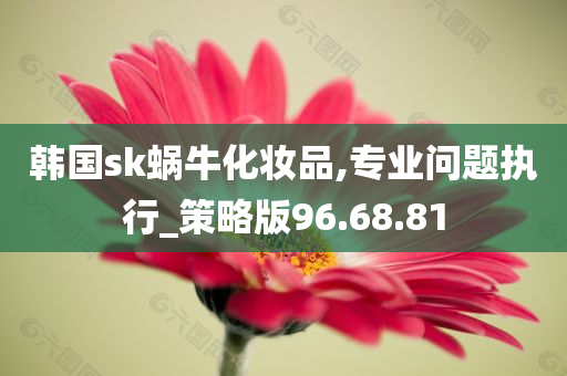 韩国sk蜗牛化妆品,专业问题执行_策略版96.68.81