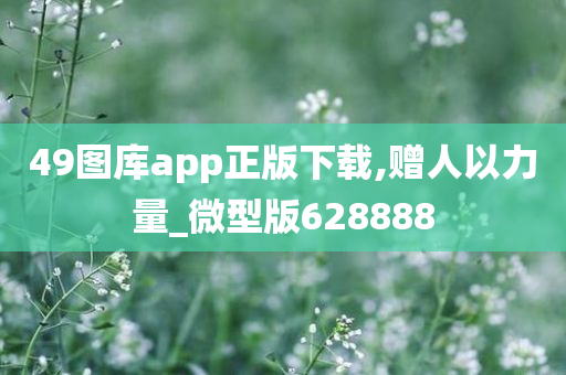 49图库app正版下载,赠人以力量_微型版628888