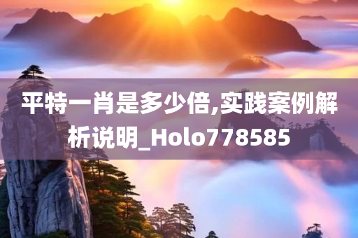 平特一肖是多少倍,实践案例解析说明_Holo778585