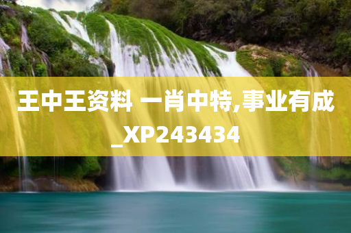 王中王资料 一肖中特,事业有成_XP243434