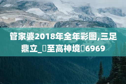 管家婆2018年全年彩图,三足鼎立_‌至高神境‌6969