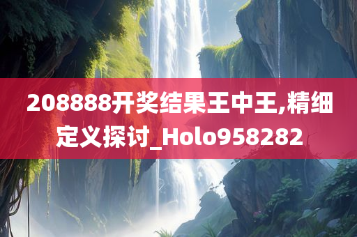 208888开奖结果王中王,精细定义探讨_Holo958282