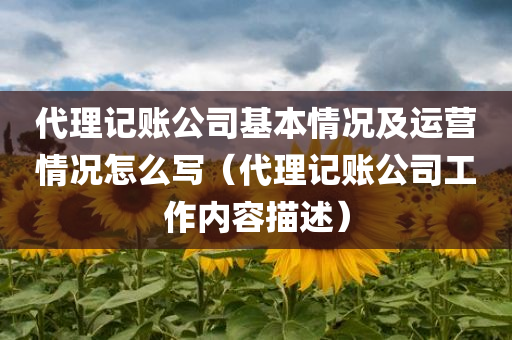 代理记账公司基本情况及运营情况怎么写（代理记账公司工作内容描述）