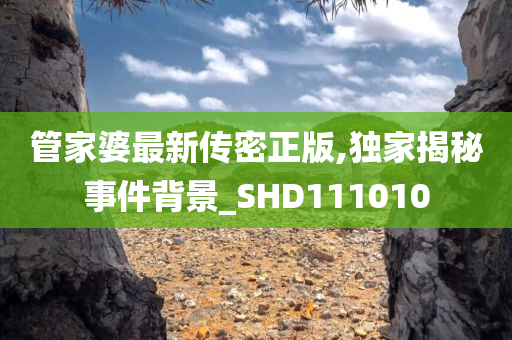 管家婆最新传密正版,独家揭秘事件背景_SHD111010