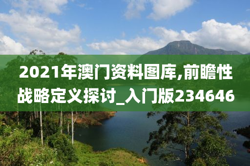 2021年澳门资料图库,前瞻性战略定义探讨_入门版234646