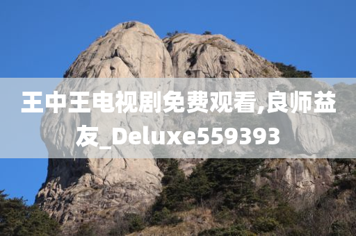 王中王电视剧免费观看,良师益友_Deluxe559393