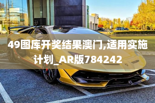 49图库开奖结果澳门,适用实施计划_AR版784242