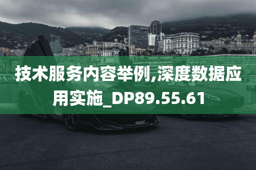 技术服务内容举例,深度数据应用实施_DP89.55.61